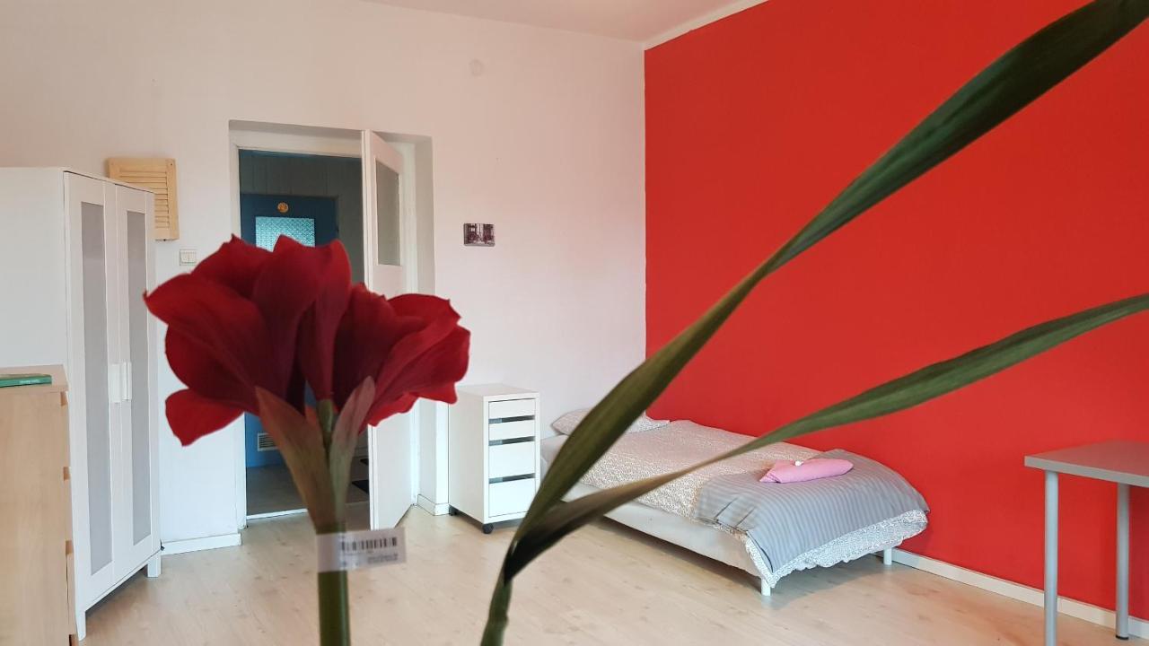 كاتوفيتسه Cozy & Fun Rooms Wojewodzka, Chopina, Damrota المظهر الخارجي الصورة